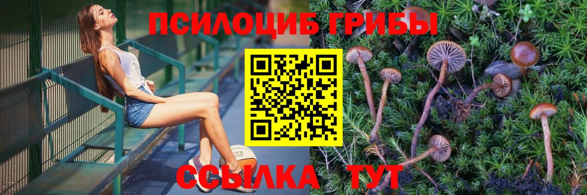 Галлюциногенные грибы прущие грибы Петровск