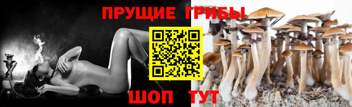 Галлюциногенные грибы MAGIC MUSHROOMS  Вход с VPN  Галлюциногенные грибы Cubensis  Петровск 